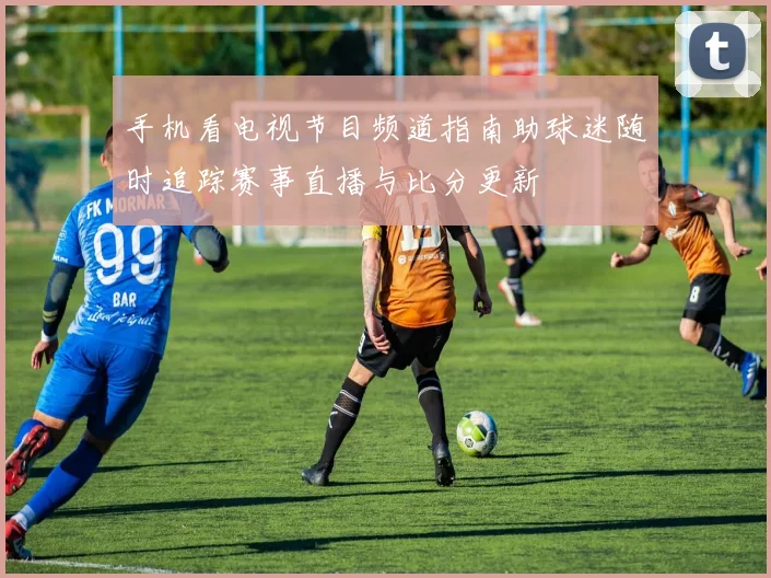 手机看电视节目频道指南助球迷随时追踪赛事直播与比分更新