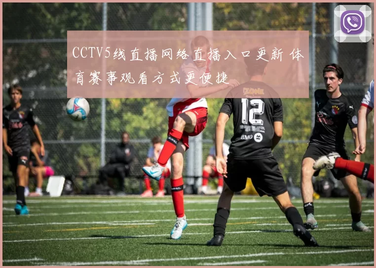 CCTV5线直播网络直播入口更新 体育赛事观看方式更便捷